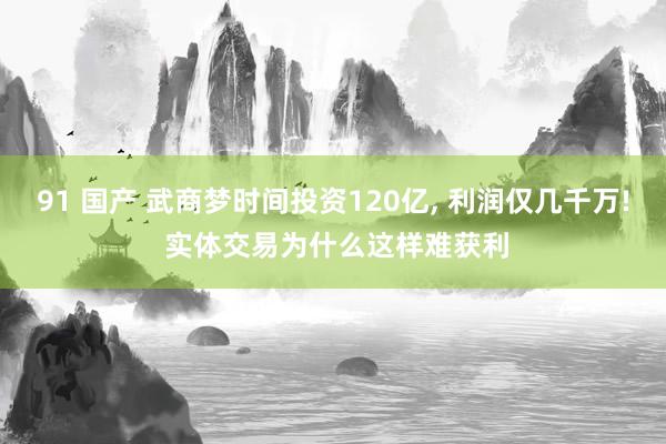 91 国产 武商梦时间投资120亿， 利润仅几千万! 实体交易为什么这样难获利