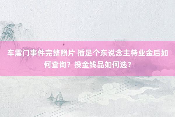 车震门事件完整照片 插足个东说念主待业金后如何查询？投金钱品如何选？