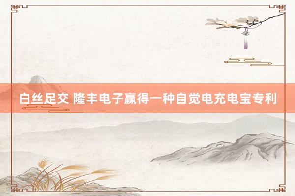 白丝足交 隆丰电子赢得一种自觉电充电宝专利