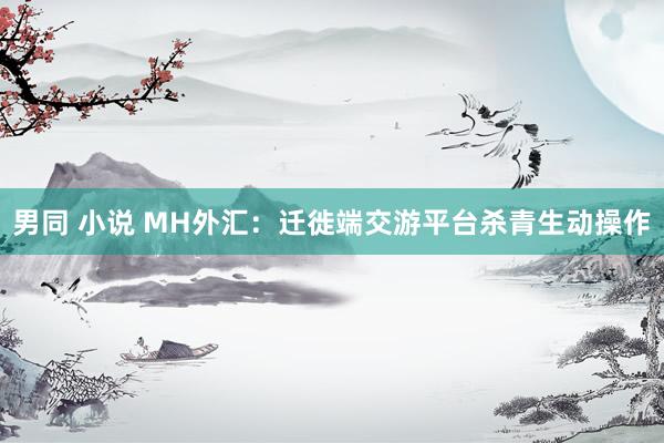 男同 小说 MH外汇：迁徙端交游平台杀青生动操作