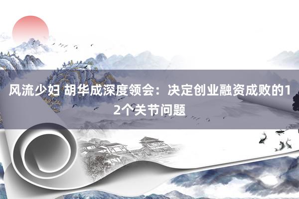 风流少妇 胡华成深度领会：决定创业融资成败的12个关节问题