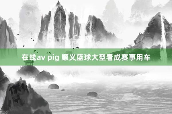 在线av pig 顺义篮球大型看成赛事用车