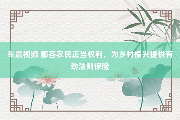 车震视频 鄙吝农民正当权利，为乡村振兴提供有劲法则保险