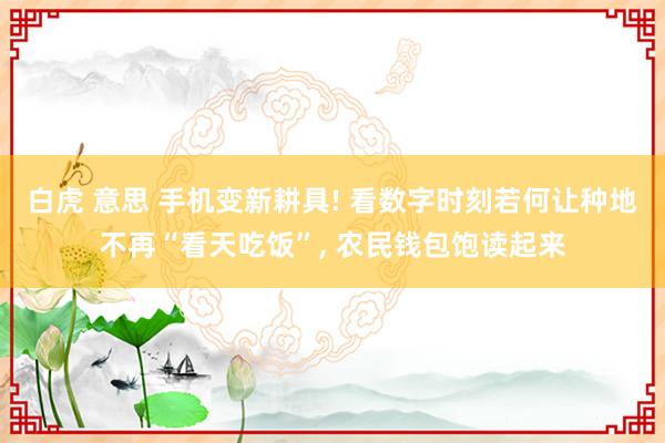 白虎 意思 手机变新耕具! 看数字时刻若何让种地不再“看天吃饭”， 农民钱包饱读起来