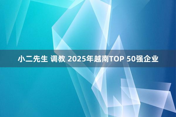 小二先生 调教 2025年越南TOP 50强企业
