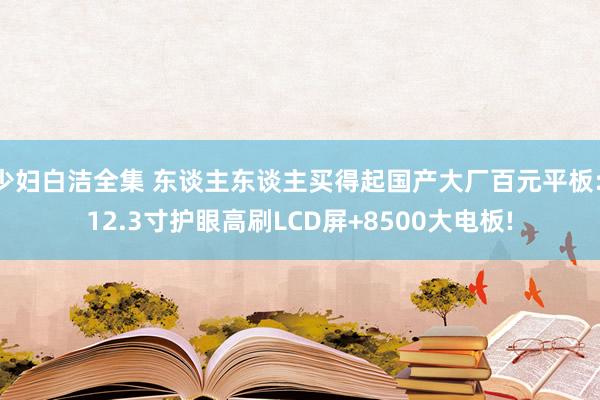少妇白洁全集 东谈主东谈主买得起国产大厂百元平板: 12.3寸护眼高刷LCD屏+8500大电板!