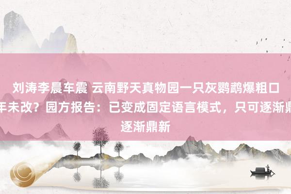 刘涛李晨车震 云南野天真物园一只灰鹦鹉爆粗口三年未改？园方报告：已变成固定语言模式，只可逐渐鼎新