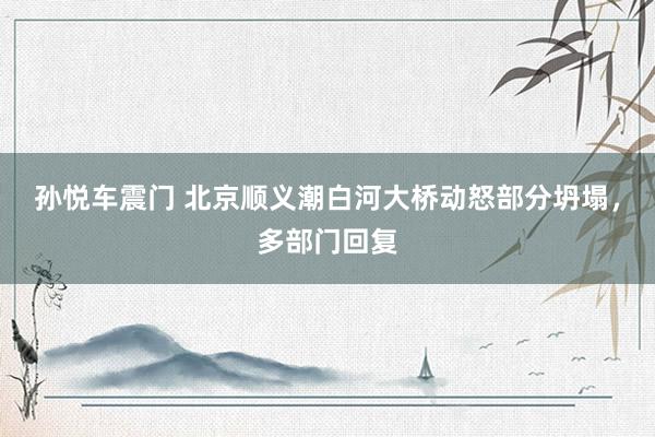 孙悦车震门 北京顺义潮白河大桥动怒部分坍塌，多部门回复