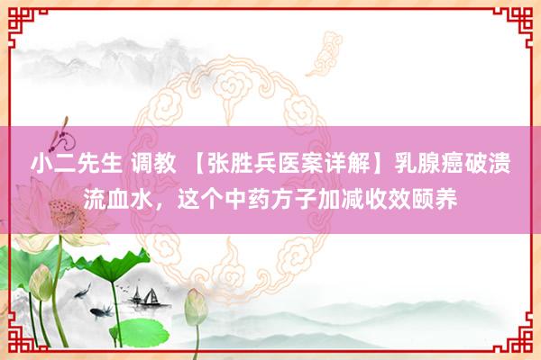 小二先生 调教 【张胜兵医案详解】乳腺癌破溃流血水，这个中药方子加减收效颐养