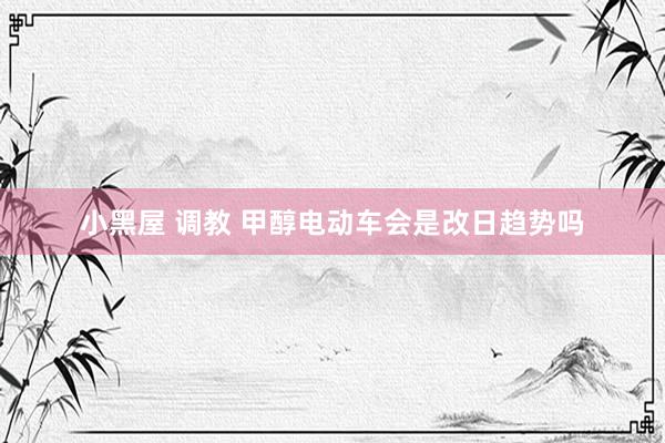 小黑屋 调教 甲醇电动车会是改日趋势吗